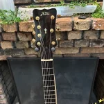 2015 Foster 7-string in Opulent brown - headstock