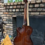 2015 Foster 7-string opulent brown