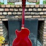 2010 Ibanez GB-15 Rear